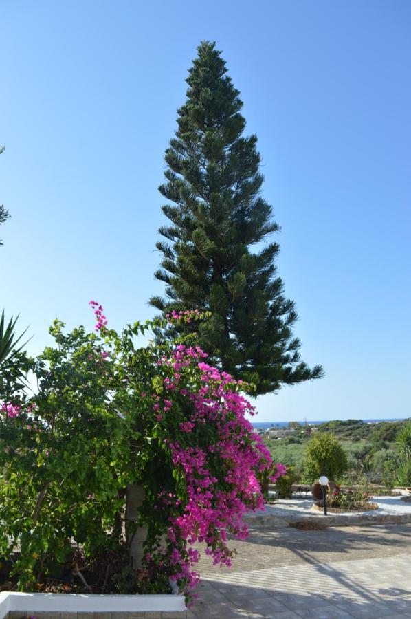 Villa SK Sissi Esterno foto